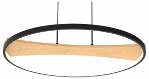 Подвесной светильник Lightstar Lodi 723127 в Приобье - priobie.mebel24.online | фото