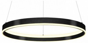 Подвесной светильник Lightstar Rotonda 736407 в Приобье - priobie.mebel24.online | фото