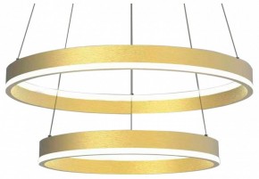 Подвесной светильник Lightstar Rotonda 736422 в Приобье - priobie.mebel24.online | фото