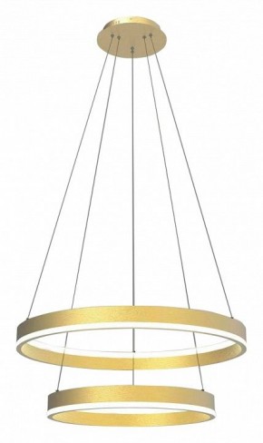 Подвесной светильник Lightstar Rotonda 736422 в Приобье - priobie.mebel24.online | фото 2