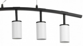 Подвесной светильник Lightstar Rullo LR735365 в Приобье - priobie.mebel24.online | фото 5
