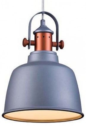 Подвесной светильник Lucia Tucci Industrial INDUSTRIAL 1820.1 SAND SILVER в Приобье - priobie.mebel24.online | фото