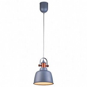 Подвесной светильник Lucia Tucci Industrial INDUSTRIAL 1820.1 SAND SILVER в Приобье - priobie.mebel24.online | фото 2