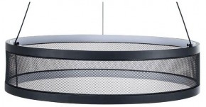 Подвесной светильник Lumion Felisiti 8103/38L в Приобье - priobie.mebel24.online | фото