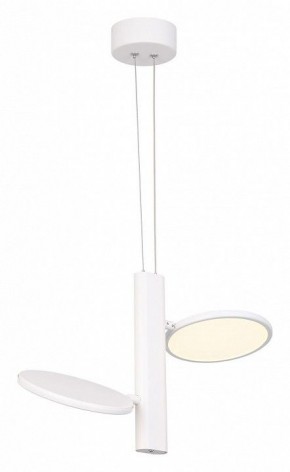 Подвесной светильник Lussole Aberdeen LSP-7085 в Приобье - priobie.mebel24.online | фото 2