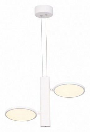 Подвесной светильник Lussole Aberdeen LSP-7085 в Приобье - priobie.mebel24.online | фото 3
