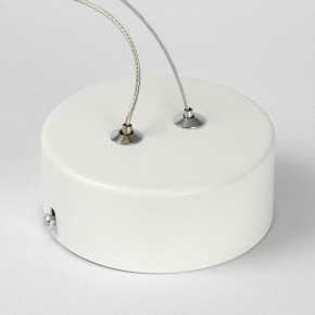 Подвесной светильник Lussole Aberdeen LSP-7085 в Приобье - priobie.mebel24.online | фото 6