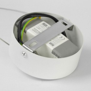 Подвесной светильник Lussole Aberdeen LSP-7085 в Приобье - priobie.mebel24.online | фото 7