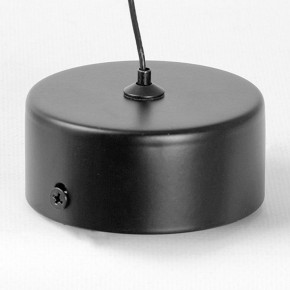 Подвесной светильник Lussole Blount LSP-7356 в Приобье - priobie.mebel24.online | фото 6
