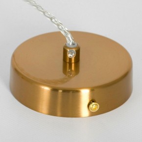 Подвесной светильник Lussole Blount LSP-8784 в Приобье - priobie.mebel24.online | фото 8