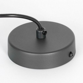 Подвесной светильник Lussole Blount LSP-8786 в Приобье - priobie.mebel24.online | фото 7