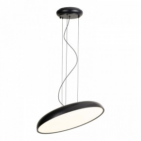 Подвесной светильник Lussole Crook LSP-7360 в Приобье - priobie.mebel24.online | фото 2