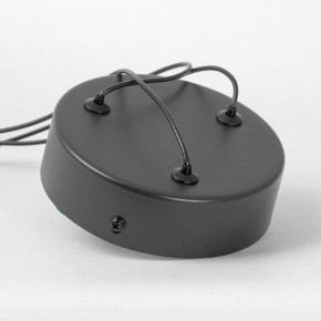 Подвесной светильник Lussole Gilmer LSP-0936 в Приобье - priobie.mebel24.online | фото 4