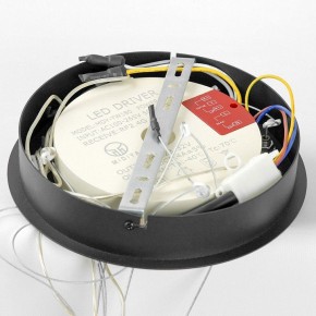 Подвесной светильник Lussole Hale LSP-7380 в Приобье - priobie.mebel24.online | фото 6