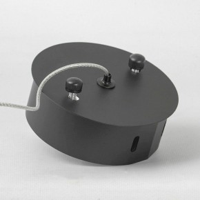 Подвесной светильник Lussole Hart LSP-7285 в Приобье - priobie.mebel24.online | фото 5