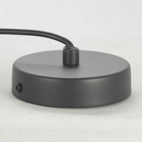 Подвесной светильник Lussole LSP-848 LSP-8489 в Приобье - priobie.mebel24.online | фото 7