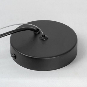 Подвесной светильник Lussole Miller LSP-8924 в Приобье - priobie.mebel24.online | фото 6