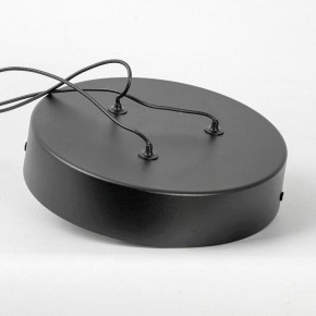 Подвесной светильник Lussole Taylor LSP-7235 в Приобье - priobie.mebel24.online | фото 6
