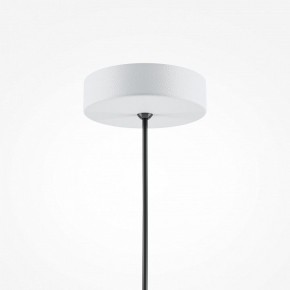 Подвесной светильник Maytoni Basic colors MOD167PL-01W в Приобье - priobie.mebel24.online | фото 5