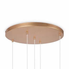 Подвесной светильник Maytoni Basic form MOD521PL-05G в Приобье - priobie.mebel24.online | фото 6