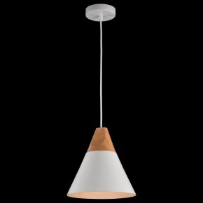 Подвесной светильник Maytoni Bicones P359-PL-01-W в Приобье - priobie.mebel24.online | фото 3