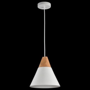 Подвесной светильник Maytoni Bicones P359-PL-01-W в Приобье - priobie.mebel24.online | фото 4