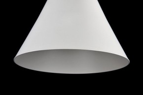 Подвесной светильник Maytoni Bicones P359-PL-01-W в Приобье - priobie.mebel24.online | фото 7