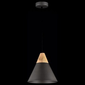 Подвесной светильник Maytoni Bicones P359-PL-220-C в Приобье - priobie.mebel24.online | фото 3