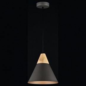 Подвесной светильник Maytoni Bicones P359-PL-220-C в Приобье - priobie.mebel24.online | фото 4