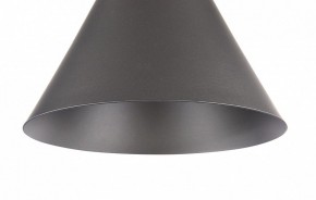 Подвесной светильник Maytoni Bicones P359-PL-220-C в Приобье - priobie.mebel24.online | фото 7