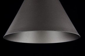 Подвесной светильник Maytoni Bicones P359-PL-220-C в Приобье - priobie.mebel24.online | фото 8