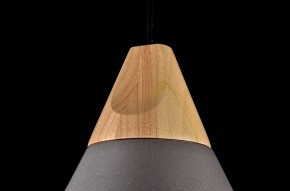 Подвесной светильник Maytoni Bicones P359-PL-220-C в Приобье - priobie.mebel24.online | фото 9