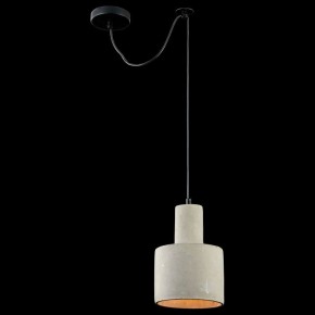 Подвесной светильник Maytoni Broni T439-PL-01-GR в Приобье - priobie.mebel24.online | фото 3