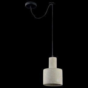 Подвесной светильник Maytoni Broni T439-PL-01-GR в Приобье - priobie.mebel24.online | фото 4
