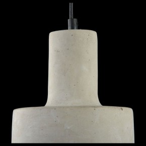 Подвесной светильник Maytoni Broni T439-PL-01-GR в Приобье - priobie.mebel24.online | фото 6