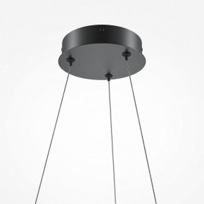 Подвесной светильник Maytoni Curve MOD241PL-L60BK в Приобье - priobie.mebel24.online | фото 6