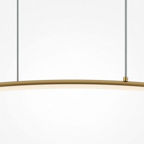Подвесной светильник Maytoni Light Reflection MOD243PL-L18BSK в Приобье - priobie.mebel24.online | фото 4