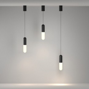 Подвесной светильник Maytoni Mist P101PL-L300-12W3K-B в Приобье - priobie.mebel24.online | фото 4