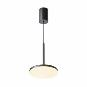 Подвесной светильник Maytoni Plato P076PL-L12W3K-B в Приобье - priobie.mebel24.online | фото 2