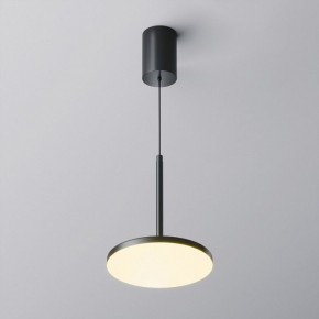 Подвесной светильник Maytoni Plato P076PL-L12W3K-B в Приобье - priobie.mebel24.online | фото 3