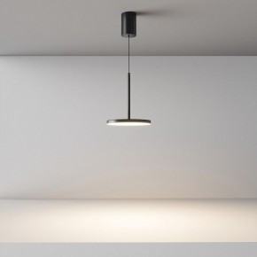 Подвесной светильник Maytoni Plato P076PL-L12W3K-B в Приобье - priobie.mebel24.online | фото 4