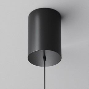 Подвесной светильник Maytoni Plato P076PL-L12W3K-B в Приобье - priobie.mebel24.online | фото 9