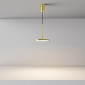 Подвесной светильник Maytoni Plato P076PL-L12W3K-BS в Приобье - priobie.mebel24.online | фото 4