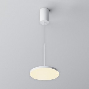 Подвесной светильник Maytoni Plato P076PL-L12W3K-W в Приобье - priobie.mebel24.online | фото 3