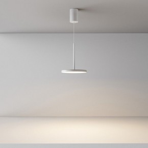 Подвесной светильник Maytoni Plato P076PL-L12W3K-W в Приобье - priobie.mebel24.online | фото 4