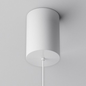 Подвесной светильник Maytoni Plato P076PL-L12W3K-W в Приобье - priobie.mebel24.online | фото 9