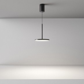 Подвесной светильник Maytoni Plato P076PL-L12W4K-B в Приобье - priobie.mebel24.online | фото 4