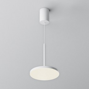 Подвесной светильник Maytoni Plato P076PL-L12W4K-W в Приобье - priobie.mebel24.online | фото 3