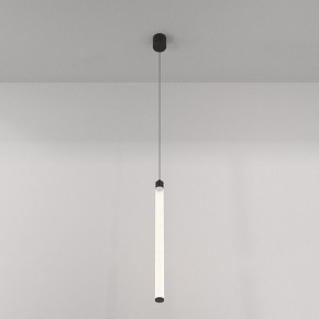 Подвесной светильник Maytoni Ray P022PL-L20B3K в Приобье - priobie.mebel24.online | фото 3
