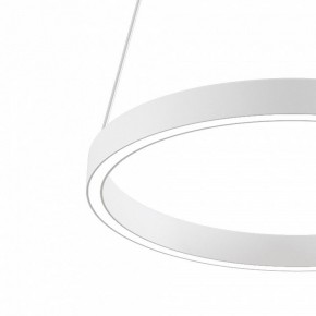 Подвесной светильник Maytoni Rim MOD058PL-L22WK в Приобье - priobie.mebel24.online | фото 4
